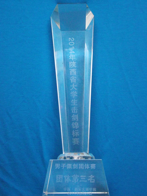 爱游戏网页版 - 关中暴熊队对阵中原雪豹队,冰球锦标赛小胜,细节决定成败——边路成突破口